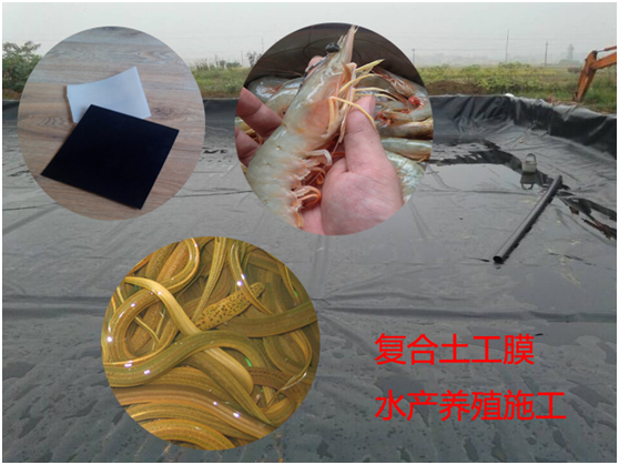 土工膜原材料控制及采購(gòu)要點(diǎn)