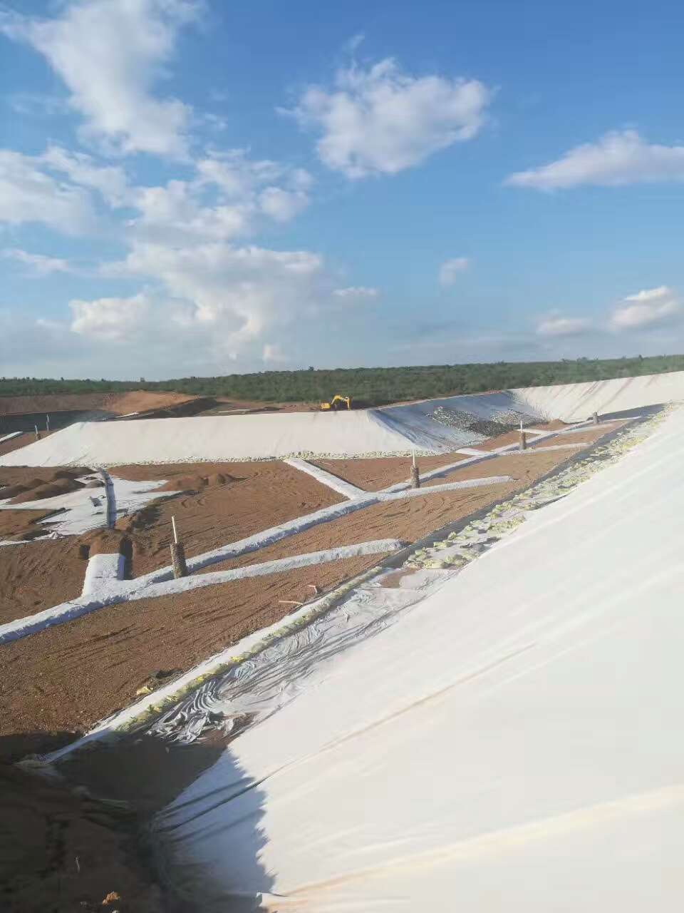 垃圾填埋場坡角與土工膜內力之間關系