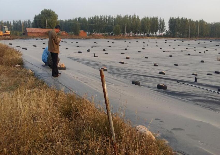 土工織物在防治滲透破壞方面的應(yīng)用研究