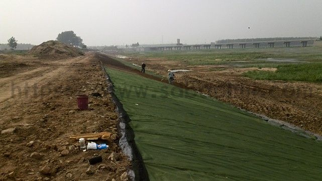 你知道城市綠化的草坪是如何一天內(nèi)生長的嗎？