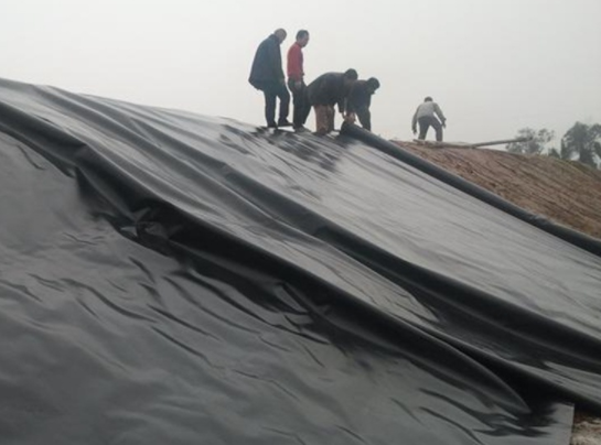 土工膜在堤防工程、河湖治理工程等減滲治理中都得到了很好的應(yīng)用