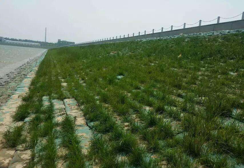 常用的海島邊坡修復(fù)技術(shù)有哪些？如何修復(fù)海島邊坡？