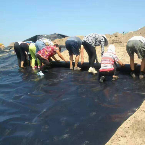 結(jié)合場地周邊情況以及圍堰工程使用要求，圍堰等級是多少